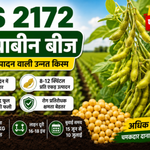 JS 2172 Premium Soybean Seeds     30 KG