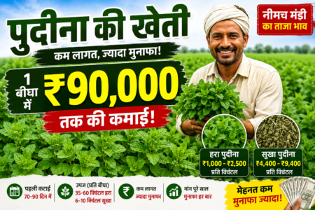 🌿 1 बीघा में ₹90,000 तक कमाई!