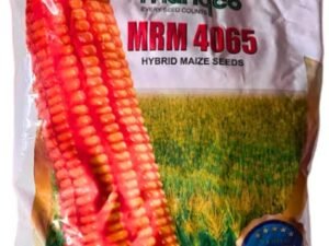 Mahyco MRM-4065 Maize Seeds