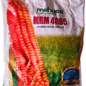 Mahyco MRM-4065 Maize Seeds