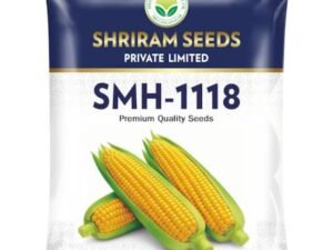 Shriram SMH-1118 Hybrid Maize Seeds