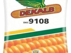 Bayer Dekalb DKC 9108 Maize Seeds