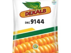Bayer Dekalb DKC 9144 Makka Seeds ₹1,642 • AgriBegri