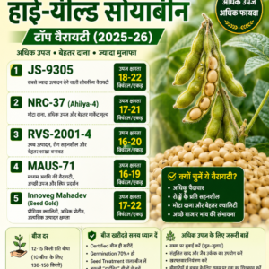 JS-9305 हाई-ब्रीड सोयाबीन बीज
