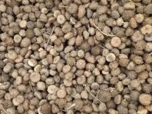 ईरानी अकरकरा बीज ₹700 Kg