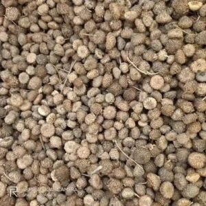 ईरानी अकरकरा बीज ₹700 Kg
